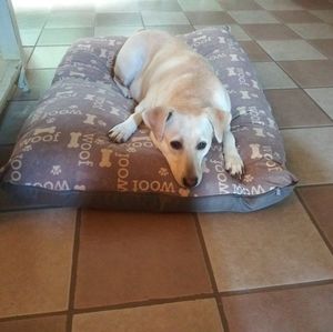 Meet your Posher, Craig